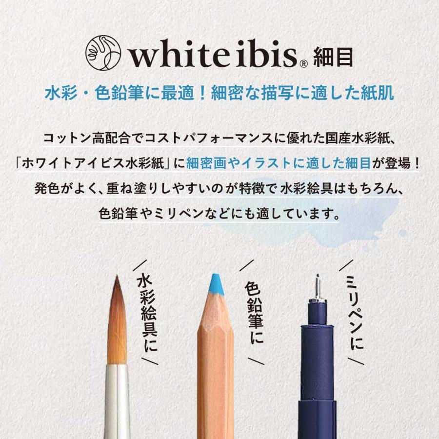 ホルベイン ホワイトアイビス水彩紙 細目 A4カット判(10枚) WIH-A4