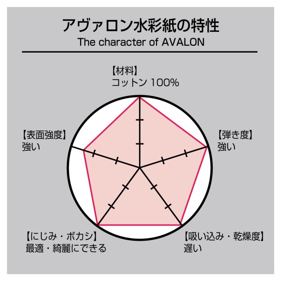 ホルベイン 水彩紙 アヴァロン ブロック 300g 中目 AVB-F10の画像