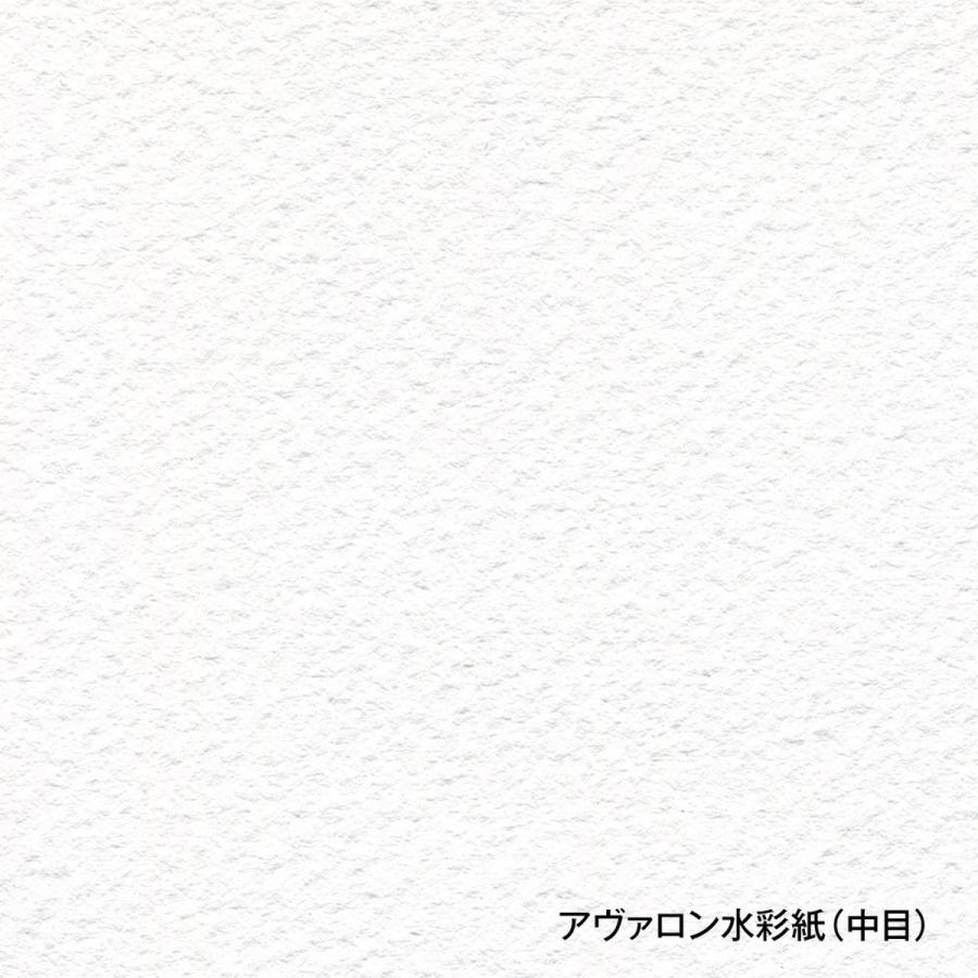 ホルベイン 水彩紙 アヴァロン ブロック 300g 中目 AVB-F10の画像
