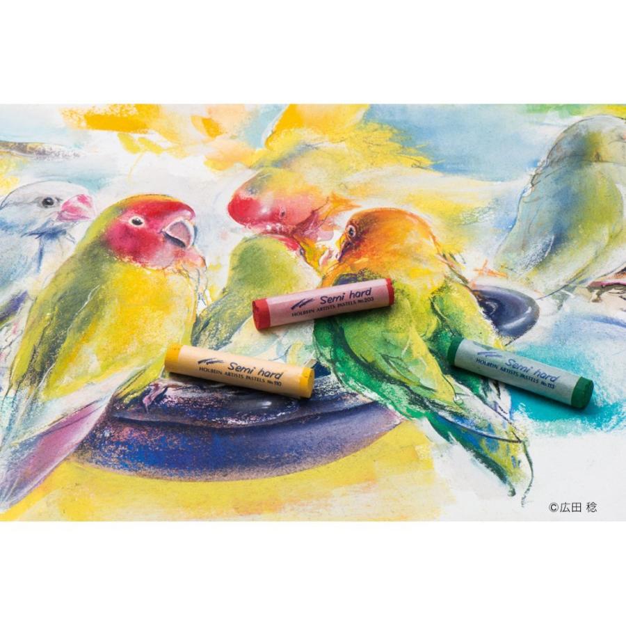 ホルベイン セミハードパステル 25色セット ネコポス可 : Art&Craft