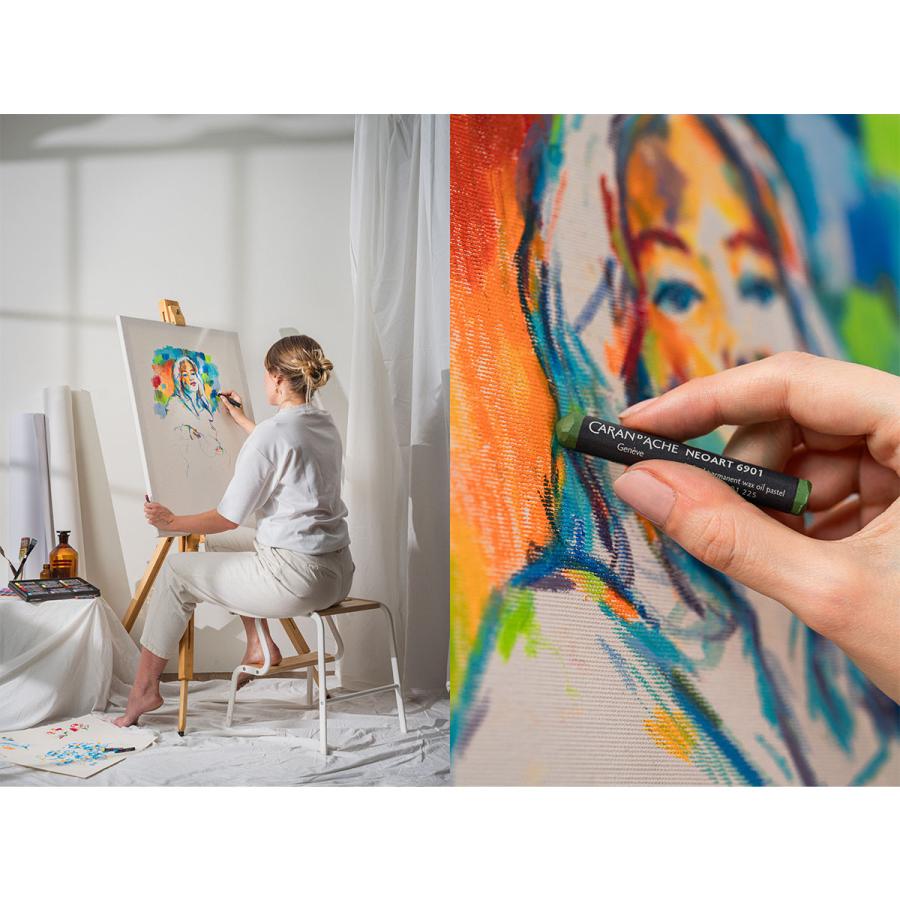 CARAN d'ACHE（カランダッシュ） 7901-312 ネオアート 6901 12色セット