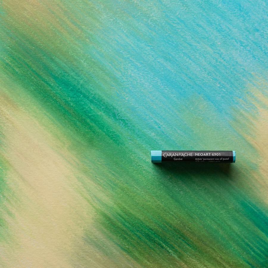CARAN d'ACHE（カランダッシュ） 7901-312 ネオアート 6901 12色セット