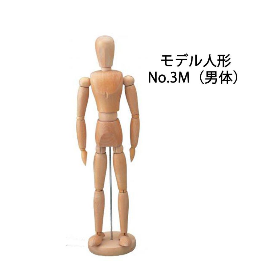 ホルベイン モデル人形 No.3 M 男体 F 女体｜art-and-craft-lab｜02