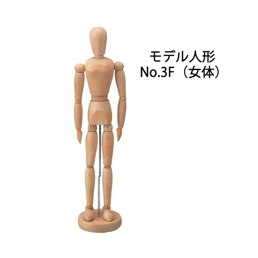 ホルベイン モデル人形 No.3 M 男体 F 女体 : Art&Craft Lab - 通販