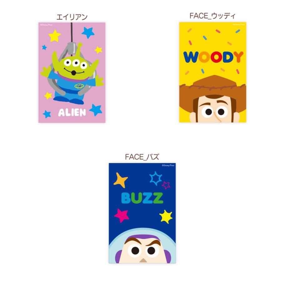 トイストーリー アートデザイン メイキング ブック 洋書版 トイストーリー アートデザイン メイキング ブック 洋書版