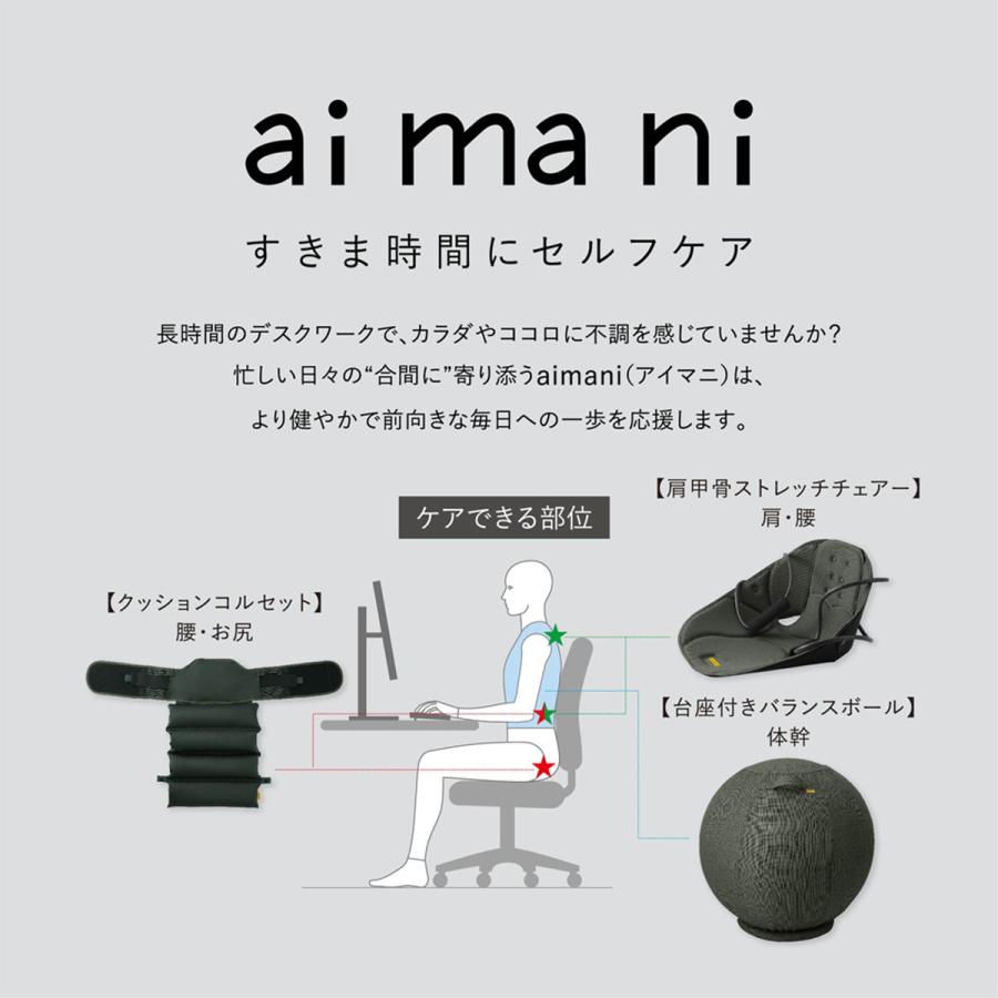 キングジム(Kingjim) クッションコルセット (aimai アイマイ) M/L/LL サンドベージュ/ディープグリーン (AHC010M/L/LL-BE/G) 合間にととのうの画像