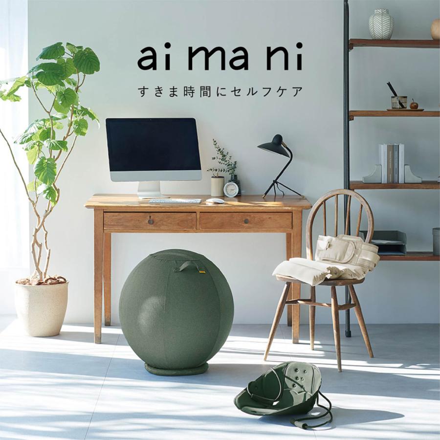 キングジム(Kingjim) クッションコルセット (aimai アイマイ) M/L/LL サンドベージュ/ディープグリーン (AHC010M/L/LL-BE/G) 合間にととのうの画像