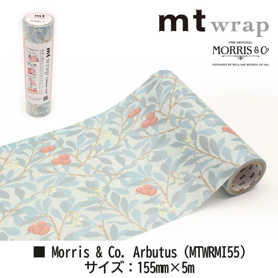mt（エムティー） カモ井加工紙 マスキングテープ 【mt wrap s