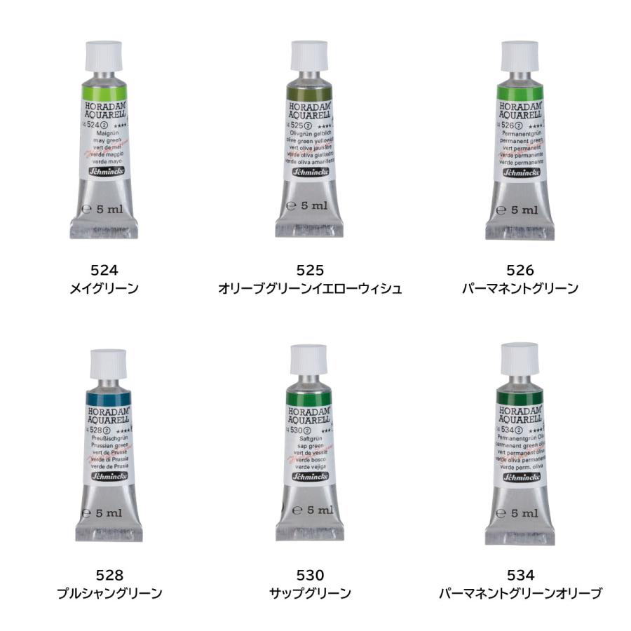 シュミンケ ホラダム 透明水彩絵具 2号 5ml チューブ 全140色 【5