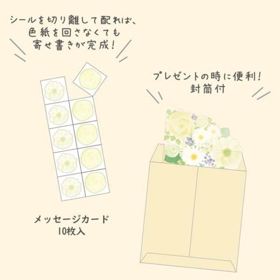 色紙セット お買い得】 ゼットアンドケイ（Z＆K） 推しカラー色紙 グリーン