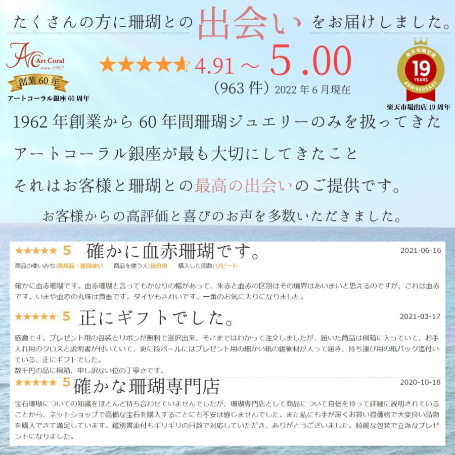 ≪送料無料&1年保証付き≫ 赤珊瑚付き 馬蹄 ワイルド かっこいい ホース シルバー タックピン｜art-coral｜11