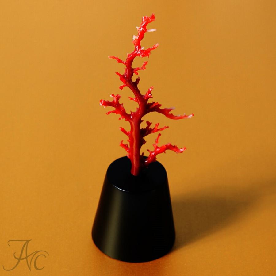 送料無料 1年保証付き 1点物日本産血赤珊瑚 枝 拝見物珊瑚置物赤 Ko 138 珊瑚専門店アートコーラル銀座 通販 Yahoo ショッピング