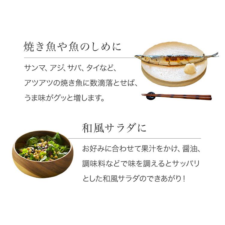 アレルギー 花粉症対策 じゃばら果汁 360ml×5本 風邪予防 免疫 じゃばら みかん 果汁 柑橘 ジュース 人気 花粉 和歌山県 特産品 農産物 食べ物｜art-dried-fruit-gift｜06