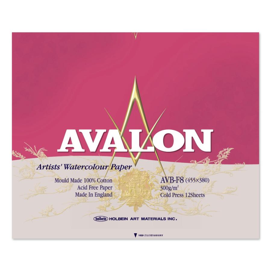 アヴァロン水彩紙 Avb F8 中紙300g ブロック 中目 12枚入 スケッチブック
