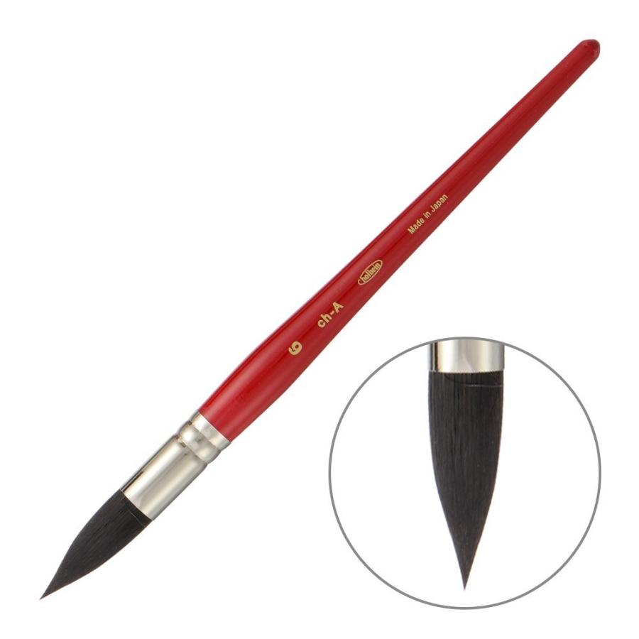 ホルベイン ホルベイン水彩筆 ch-A6号 穂丈×穂幅[約37×13mm] : 額縁