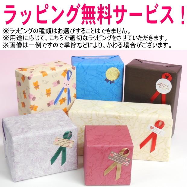 Harley Davidson（ハーレー・ダビッドソン） 名入れステムレスグラス