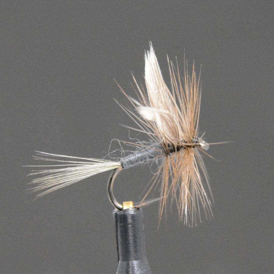 ドライフライ ブルーダン (#12 #14 #16 #18) フライ 完成品フライ