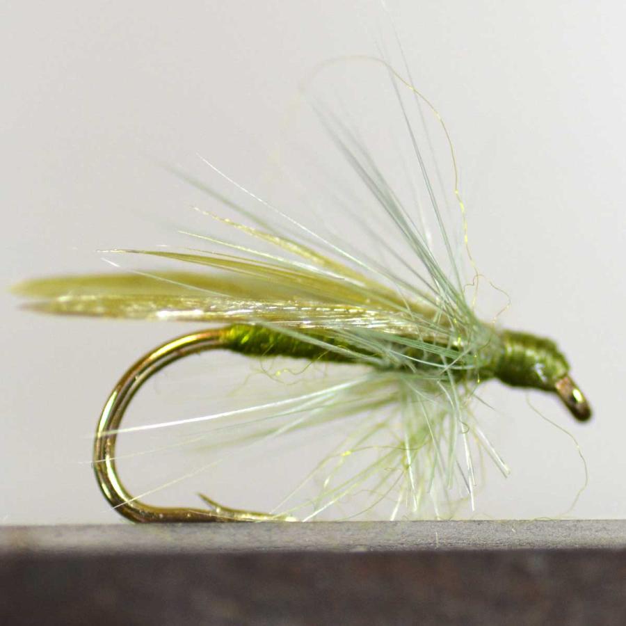 ウエットフライ スローウォターカディス オリーブ 10 12 14 フライ フライフィッシング入門 完成品フライ ルアー 釣り 川 渓流 管理 エリア 年末のプロモーション