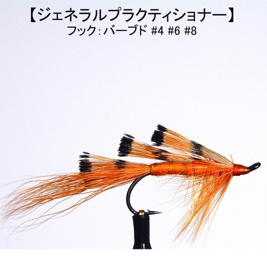 サーモンフライ ジェネラル プラクティショナー 4 6 8 フライフィッシング 1319 フライフィッシングのアートライズ 通販 Yahoo ショッピング