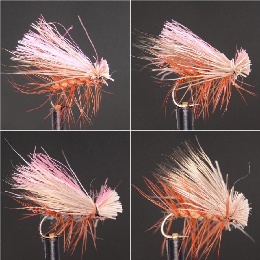 ドライフライ カディス 35 パターン フライフィッシング エリア