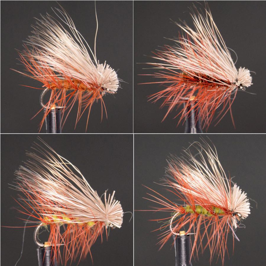 ドライフライ カディス 35 パターン フライフィッシング エリア