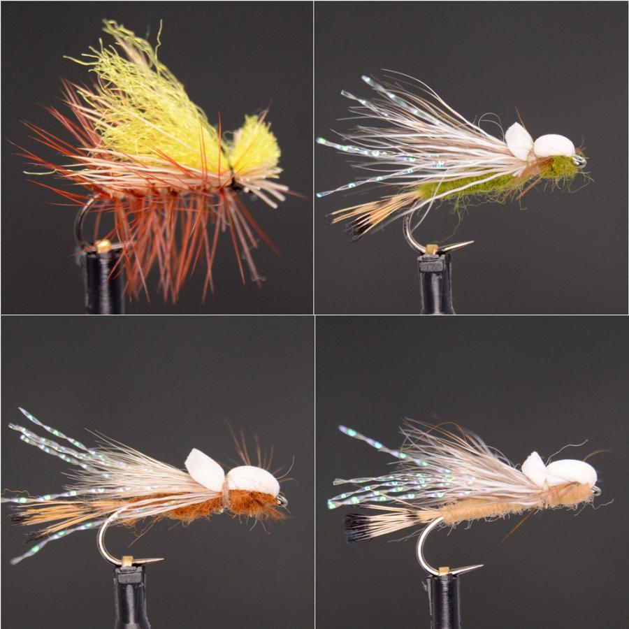 ドライフライ カディス 35 パターン フライフィッシング エリア