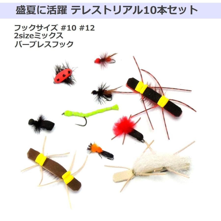 テレストリアル バーブレス セット 夏 ドライフライ バッタ アント