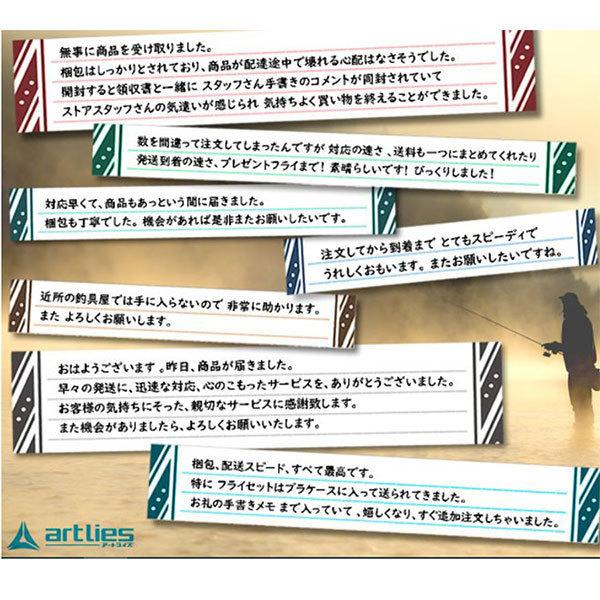 羽虫 12 フライ フライフィッシング入門 完成品フライ 送料無料 一部地域を除く ルアー エリア 渓流 釣り 管理 川