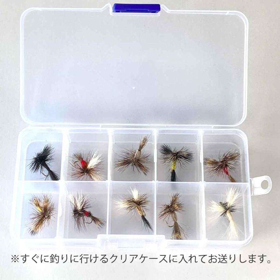 クーポン+PayPayポイントアップ】ドライフライ ウルフ10本セット