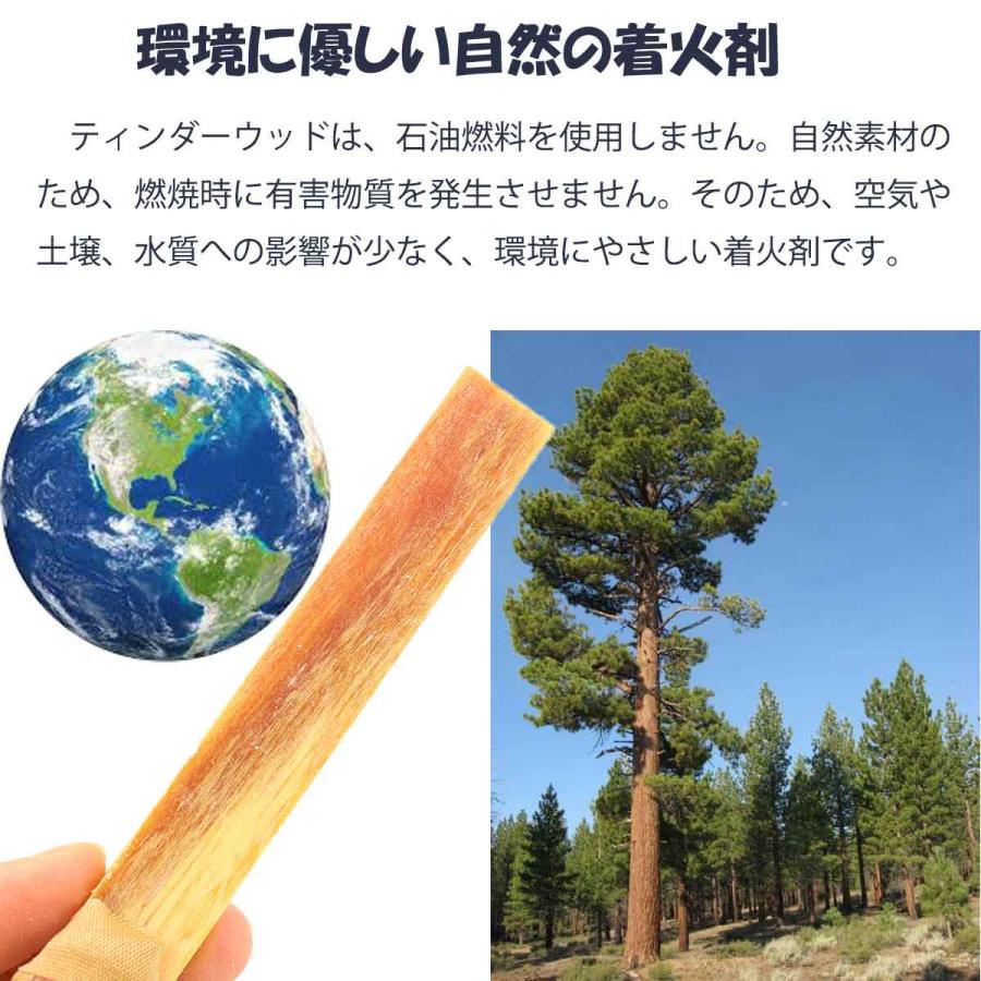 クーポン+PayPayポイントアップ】ファットウッド ティンダー ファッド