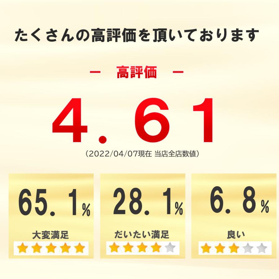 本日セール 【本日セール タモ網 たも 網 おすすめ 青物 4m 3m 堤防 海釣り 海 安い ネット 柄 釣り｜art-lies｜04