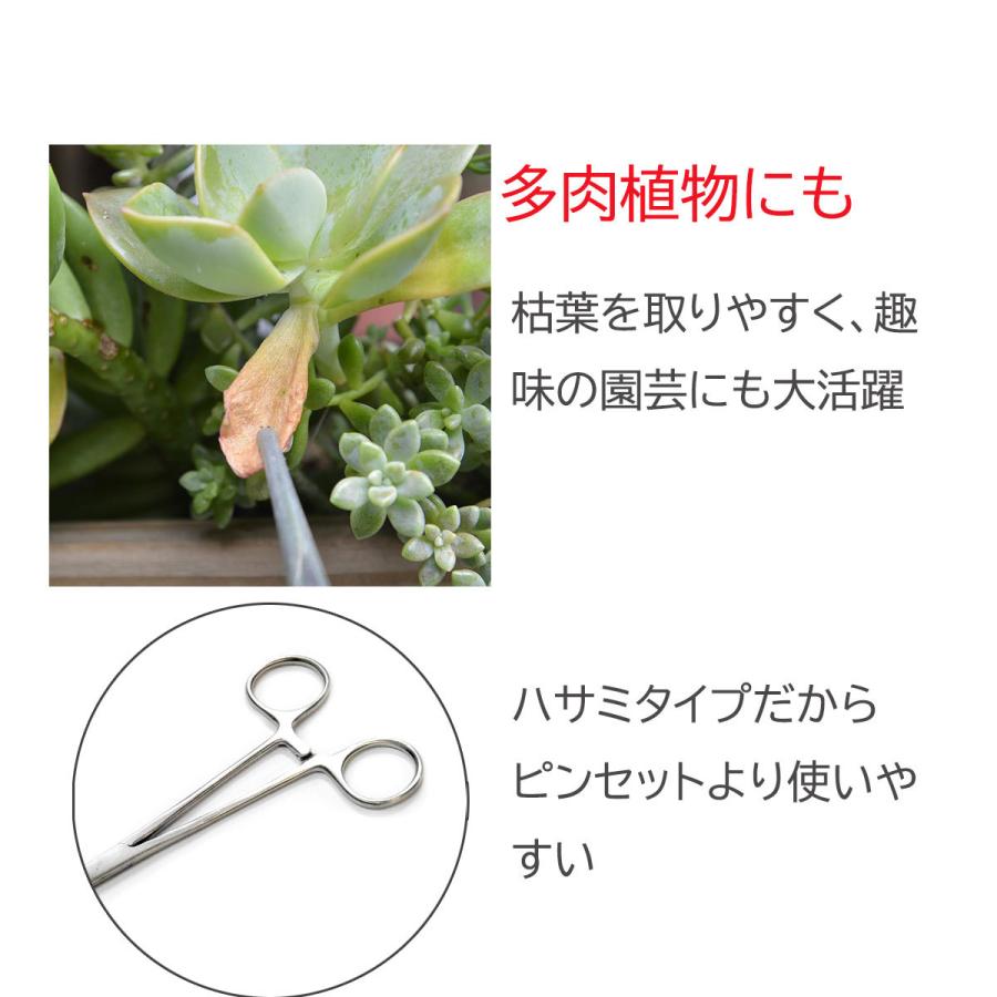 最高の品質の フォーセップ プライヤー イカ 墨 多肉植物 枯葉取り 剣先イカ 墨ぬき ルアー フライ 餌 鈎外し 携帯型 釣り 小道具 鉗子 かんし ハサミ 固定 手芸 ゴム通し Supplystudies Com