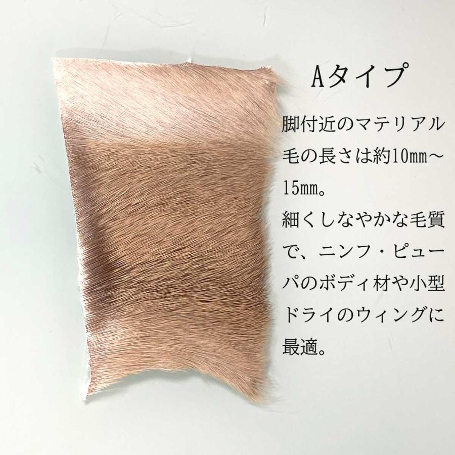 エゾシカ 夏毛 マテリアル 8×8cm フライ 蝦夷鹿 北海道産 エルクヘア