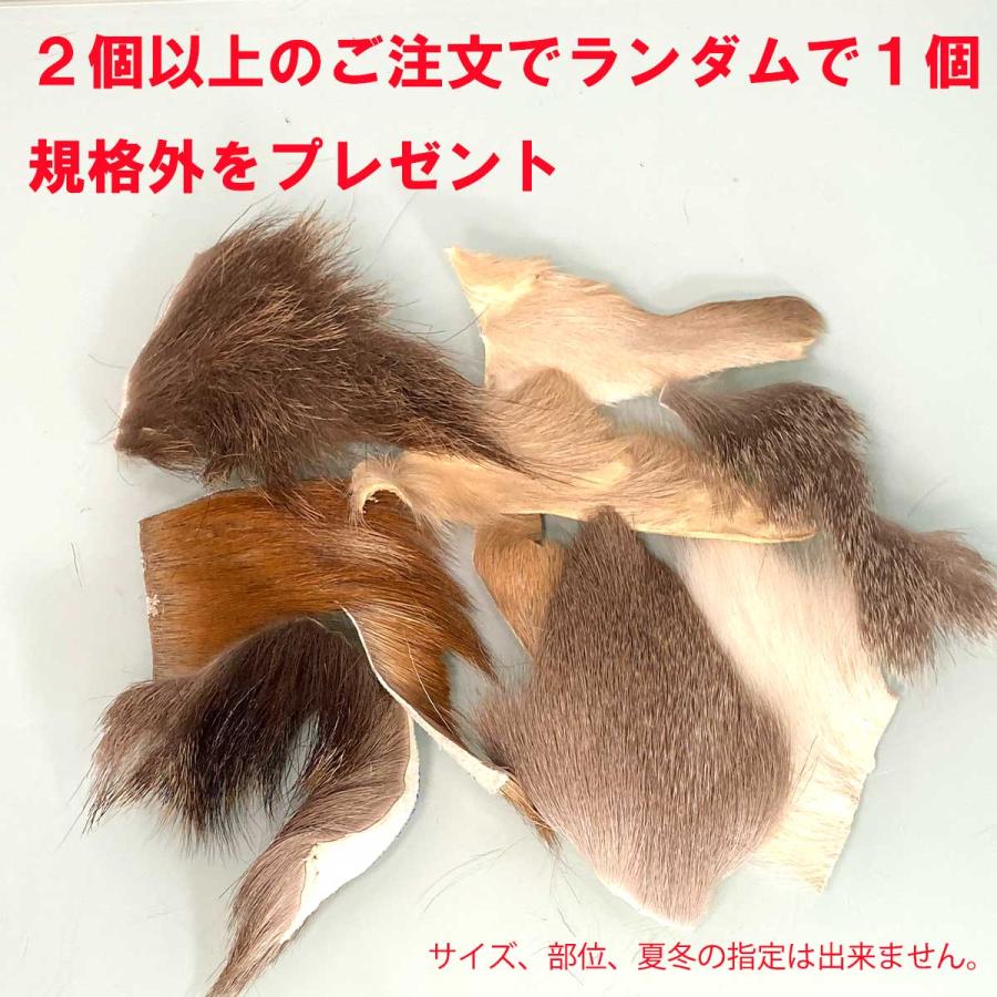 エゾシカ 夏毛 マテリアル 8×8cm フライ 蝦夷鹿 北海道産 エルクヘア