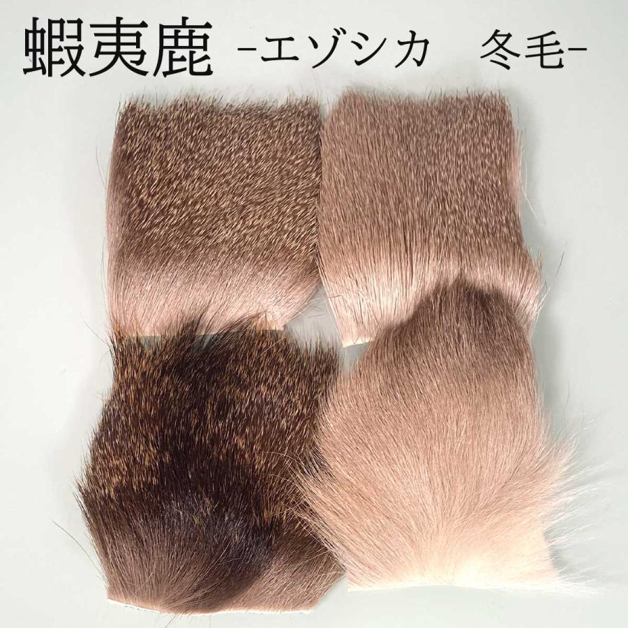 エゾシカ 冬毛 マテリアル 8×8cm フライ 蝦夷鹿 北海道産 エルクヘア