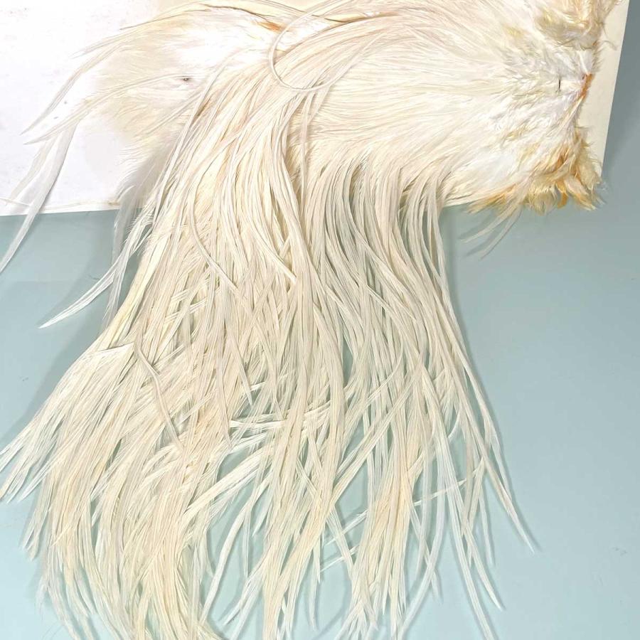 メッツ サドル　【クリー】 #2 メッツ サドル 【クリー】 #2 ティムコ(TIEMCO) フライマテリアル