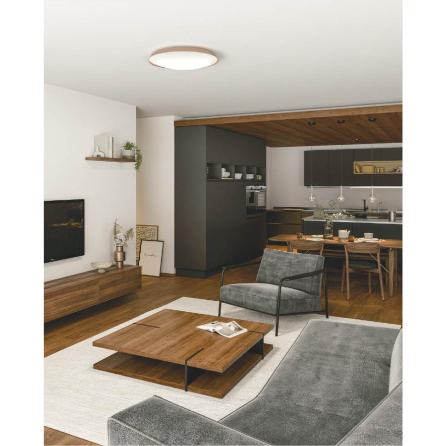 アンティーク　KOIZUMI コイズミ照明　白熱灯　シーリングライト 照明 おしゃれ ライト コイズミ照明 KOIZUMI シーリングライト AH55682