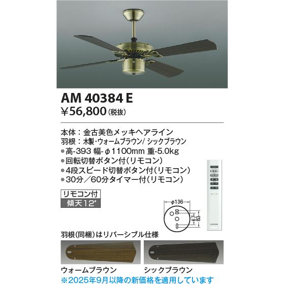 コイズミ照明f シーリングファン 本体のみ(灯具・延長パイプ別売)AM40384E 工事必要_1