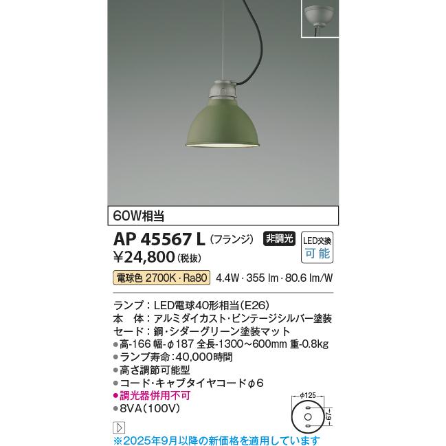 KOIZUMI（コイズミ） コイズミ照明 洋風ペンダント AP45567L 工事必要