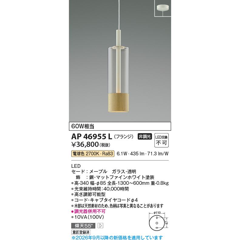 KOIZUMI（コイズミ） コイズミ照明 洋風ペンダント AP46955L 工事必要