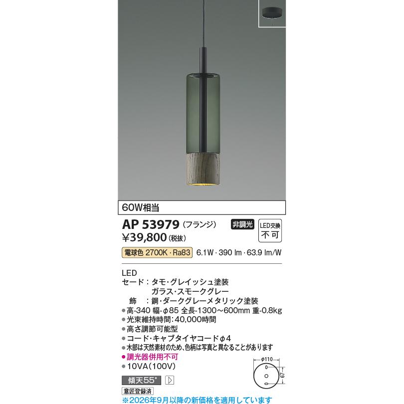 KOIZUMI（コイズミ） コイズミ照明 直付型ペンダント AP53979 工事必要