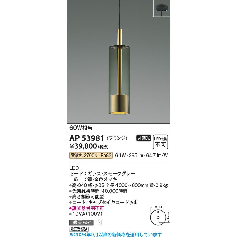 KOIZUMI（コイズミ） コイズミ照明 直付型ペンダント AP53981 工事必要