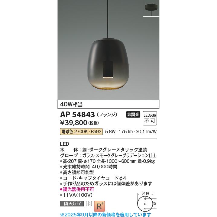 KOIZUMI（コイズミ） コイズミ照明 ペンダント AP54843 工事必要 電球