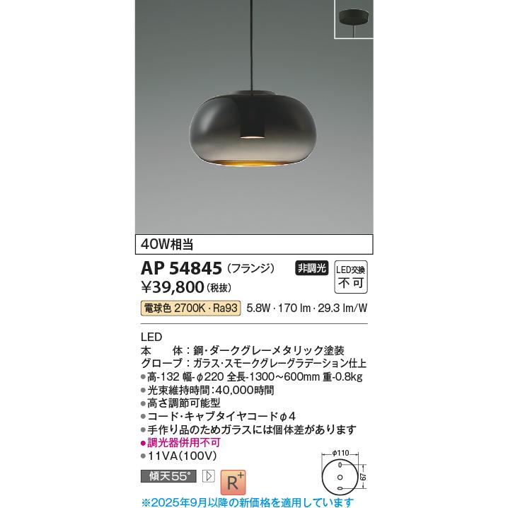 KOIZUMI（コイズミ） コイズミ照明 ペンダント AP54845 工事必要 電球