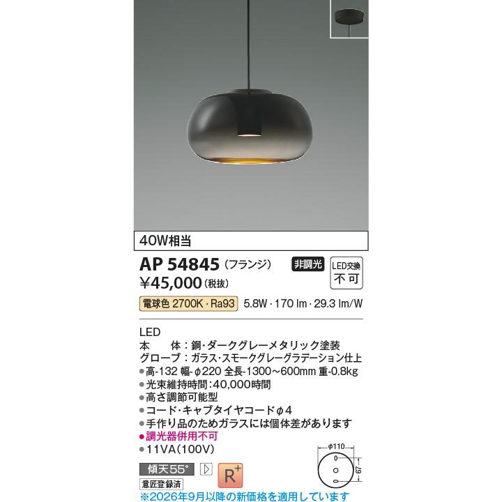 KOIZUMI（コイズミ） コイズミ照明 ペンダント AP54845 工事必要 電球
