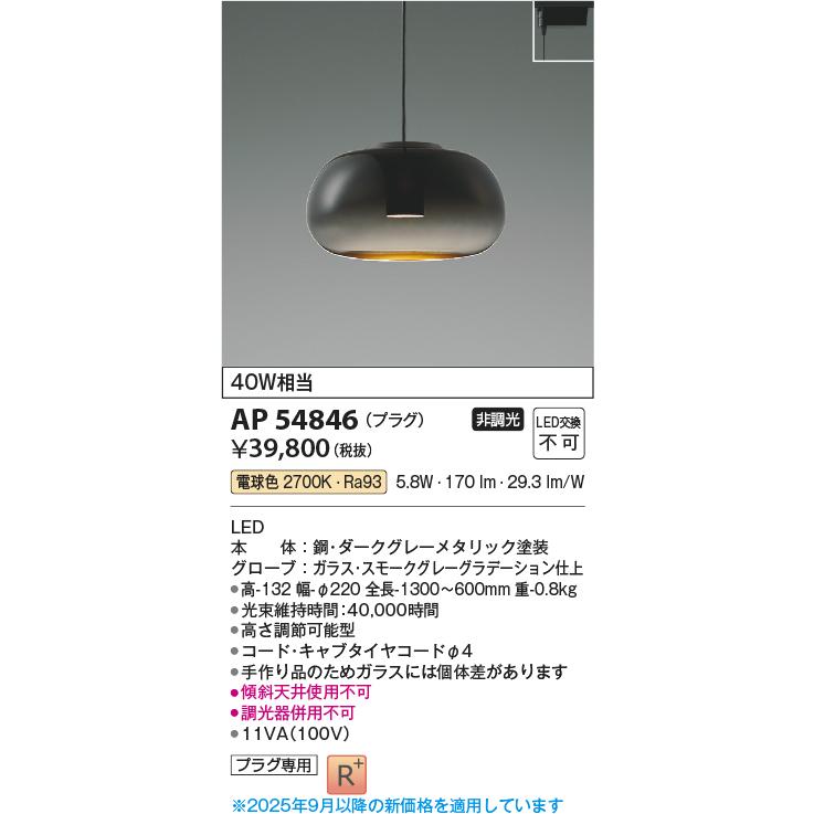 Koizumi ペンダントライト AP 54846 　電球色　ダクトレール KOIZUMI（コイズミ） コイズミ照明 ダクトレール用ペンダント AP54846