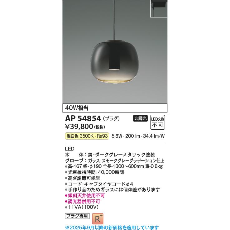 KOIZUMI（コイズミ） コイズミ照明 ダクトレール用ペンダント AP54854