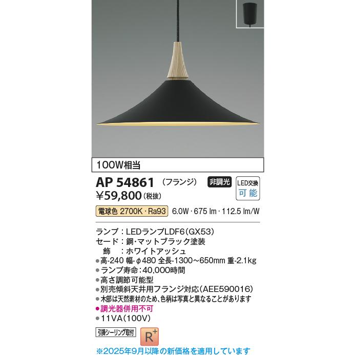 KOIZUMI コイズミ照明 ペンダント AP54861 電球色 : アート