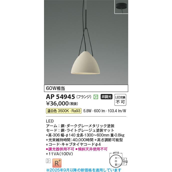 KOIZUMI（コイズミ） コイズミ照明 ペンダント AP54945 工事必要 温