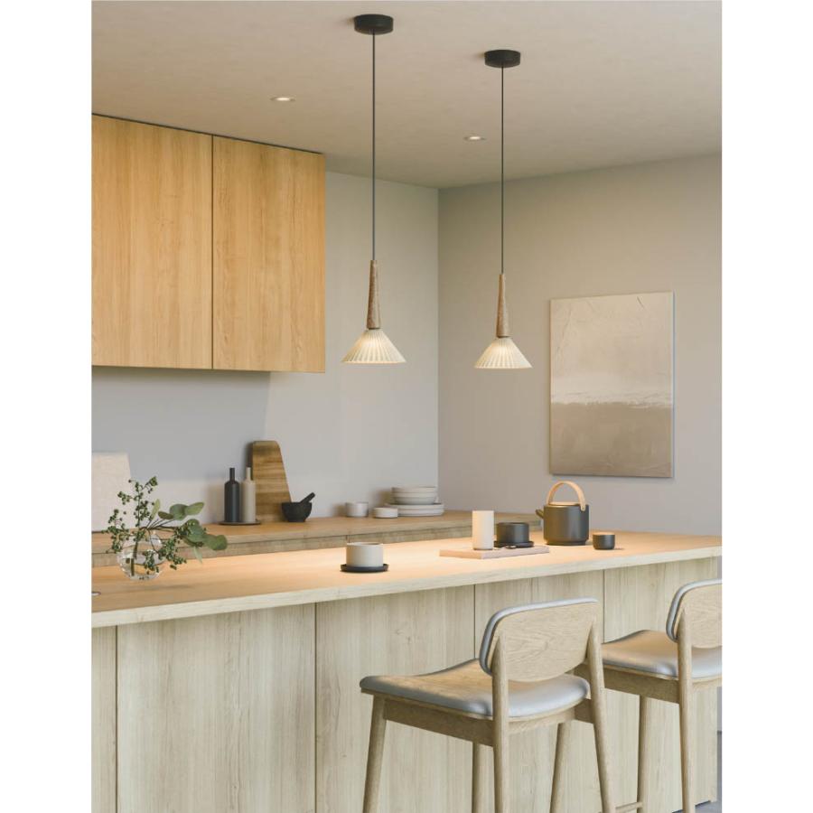 KOIZUMI（コイズミ） コイズミ照明 ペンダント AP55508 工事必要 電球